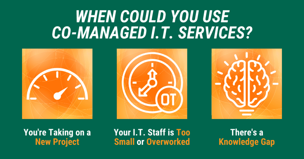 Co-Managed IT Services
